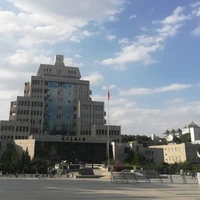 Alex Liu's profile picture