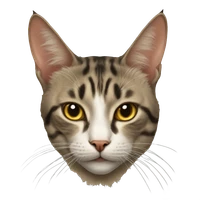 the_future's profile picture