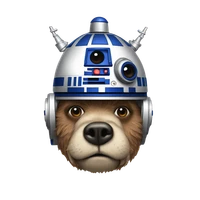 Scott's profile picture