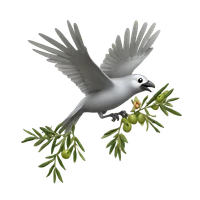 Josh Stevenson's profile picture