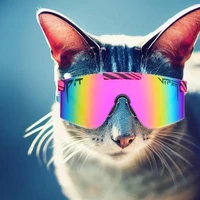 xlr8harder's picture